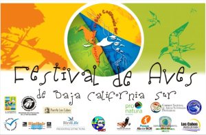 invitacion festival aves