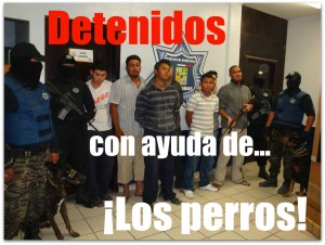 PGRUPO