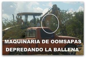 maquinaria la ballena