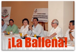 zzempresarioscomisiondeturismo