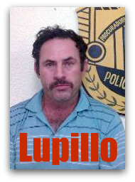 z1- LUPILLO
