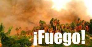 z-fuego san ignacio