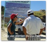 P PALMILLA1