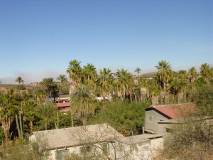 V - VICTOR FLORES MULEGE
