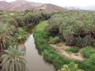 Esta es una gráfica del río Mulegé que atraviesa la población del mismo nombre, la cual se encuentra a sesenta y tres kilómetros al sur de Cachanía. (Foto Víctor Flores Ojeda).