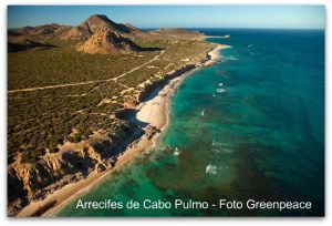 cabo pulmo y sus arrecifes