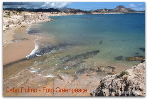 cabo pulmo - greenpeace
