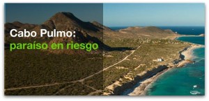 v GREENPEACE MEXICO