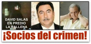 g - socios del crimen