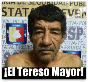 p - el tereso mayor