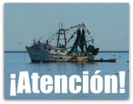 3 veda camaron
