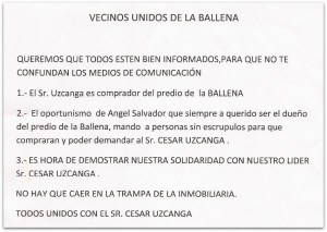 V VOLANTE LA BALLENA OK