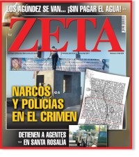 ZETA ZAMUDIO CASO