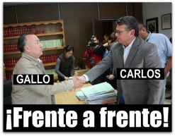 GALLO MAGISTRADO