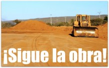 planta cangrejos 001