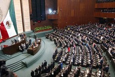 camara de diputados 87382452