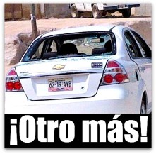 9 auto golpeado a batazos con mujeres panistas adentro