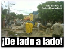 w - arboles caidos en san lucas reporteros sin fronteras