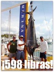w marlin en la paz bcs
