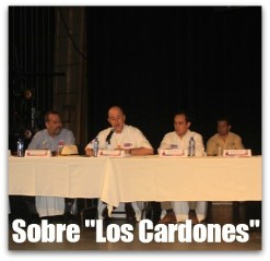 3 - mina los cardones postura del gobierno