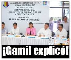 w - 1 gamill arreola congreso del estado