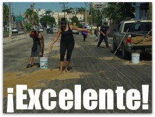 3 - 1 baches san jose del cabo