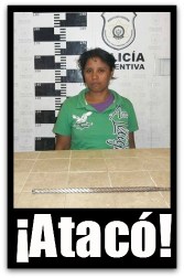 3 -1 maria eulalia