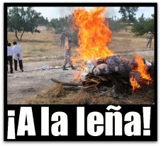 3 - 1 narcoticos incinerados en la zona militar