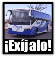 3 - 1 autobus aguila