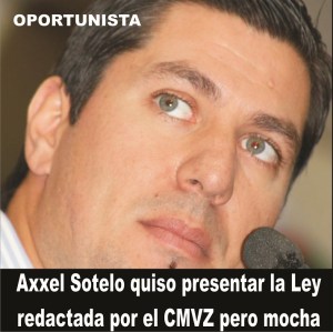 3 - 1 axxel sotelo espinosa diputado ok