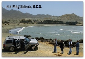 z - isla magdalena 002