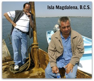z - isla magdalena 004