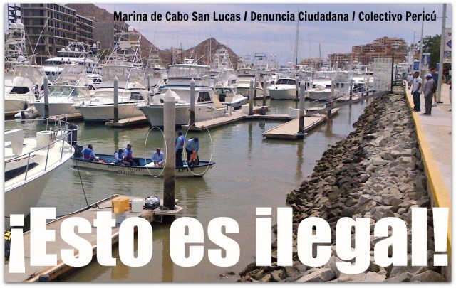 2 - 1 actuacion personal de api deteniendo personas en cabo san lucas