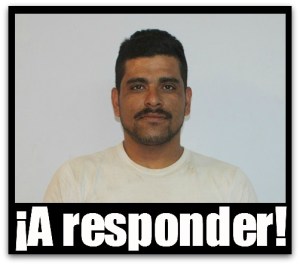 2 - 1 almaraz el ladron de la calle ficus