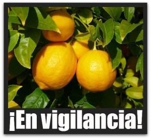 2 - 1 limones