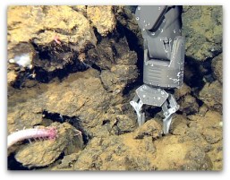 Imagen: LiveScience.