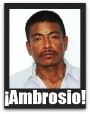 2 - 1 ambrosio