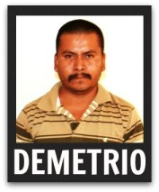 2 - 1 ballena demetrio detenido cristal