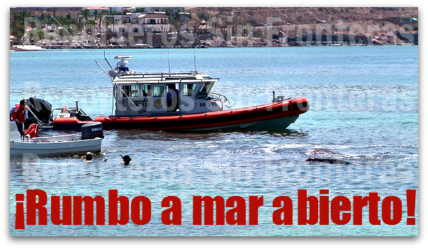 2 - 1 0 ballena liberada