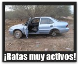 2 - 1 geo prizm robado