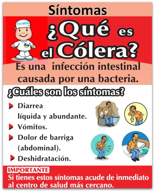2 - 1 colera alerta