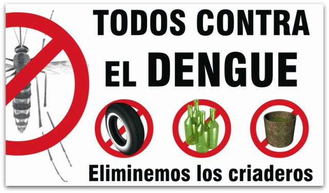 2 - 1 dengue zancudo 5265