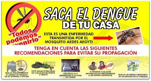 2 - 1 dengue zancudo campaign