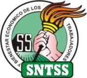 2 - 1 sindicato imss seguro social