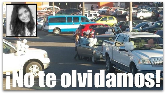 2 - 1 fernanda gallo vehicular