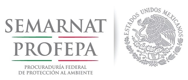 2 - 1 logo profepa