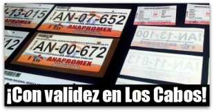 2 - 1 anapromex placas