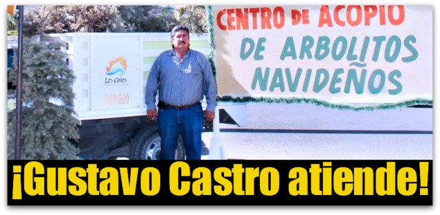 2 - 1 arboles de navidad
