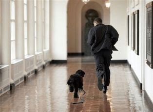 2 - 1 fede obama corriendo con su perro