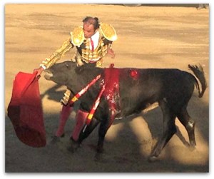 2 - 1 toros corrida san jose del cabo 2